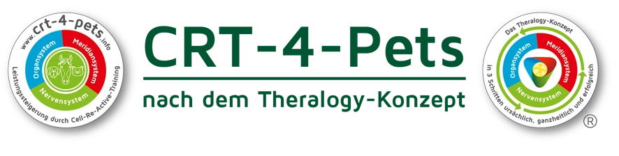 Das Cell-Re-Active-Training nach dem Theralogy-Konzept